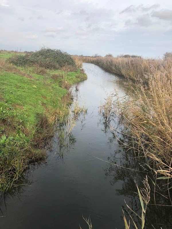 Little Murston Nature Reserve - Image 1