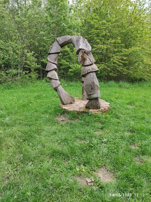 Hedley Hall Woods - Image 2