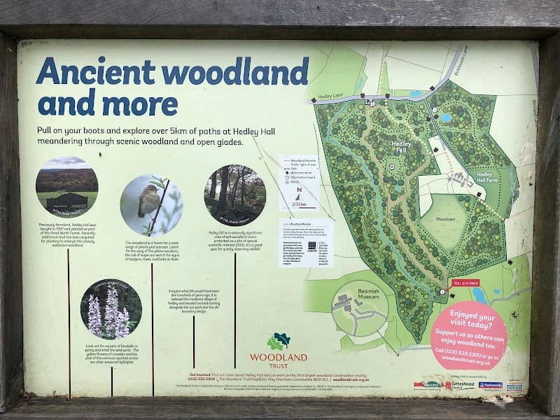 Hedley Hall Woods - Image 1