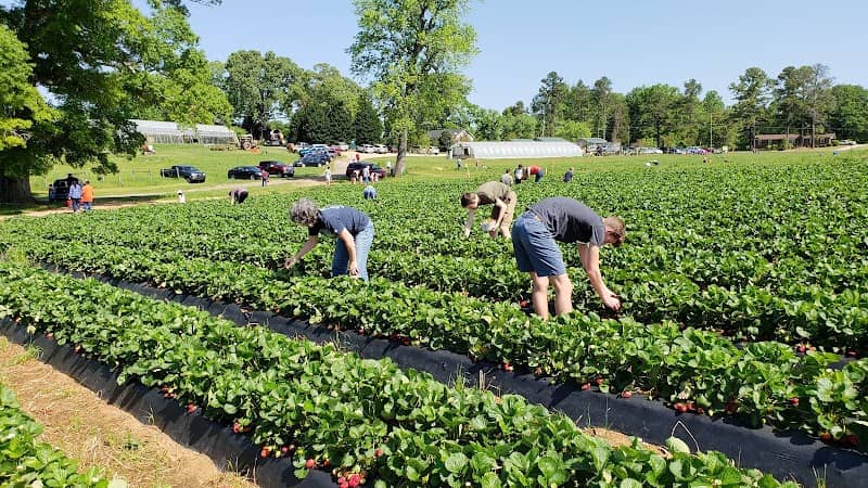 Stewart Farms - Image 1