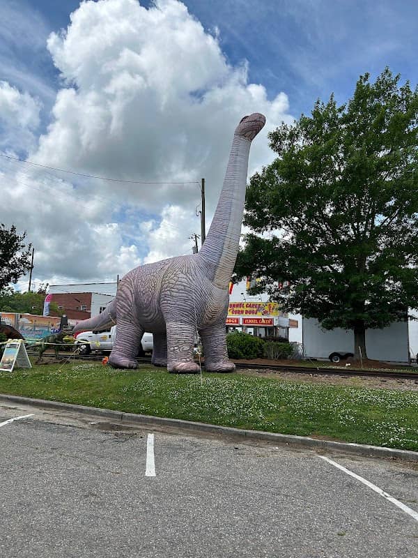 Carolina Strawberry Festival - Image 1