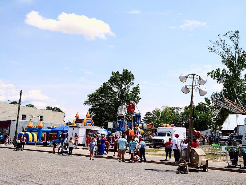 Carolina Strawberry Festival - Image 2