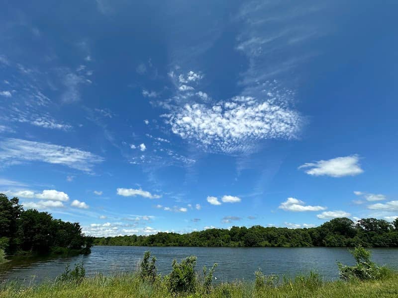 Kendzora Conservation Area - Image 1