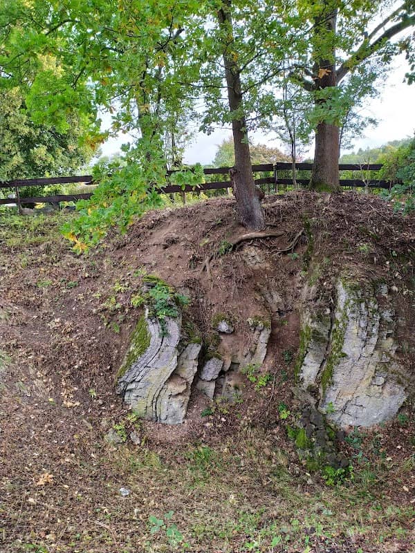 Naturdenkmal Kalkfalte - Image 1