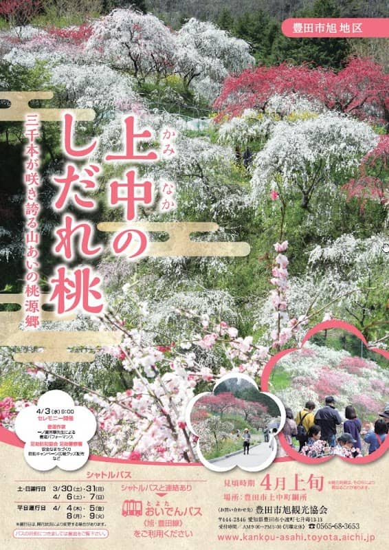 Weeping Peach Blossoms of Kaminaka - Image 1