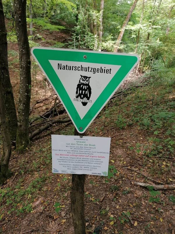 Waldschutzgebiet Steinbachtal/Netzbachtal - Image 1