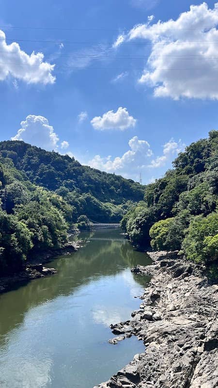 Hakko Bridge - Image 1