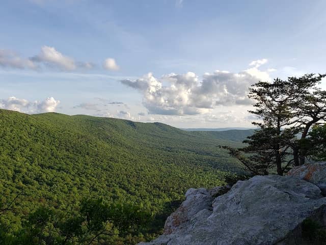 McDill Point - Image 1