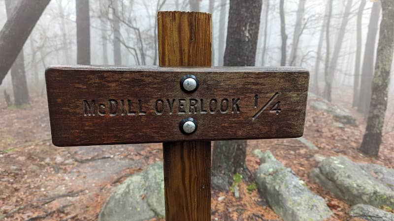 McDill Point - Image 2