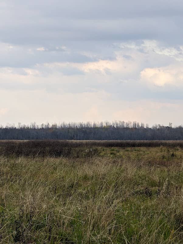 Red River National Wildlife Refuge - Image 2