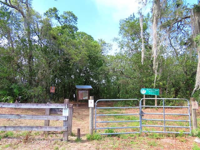 Dicerandra Scrub Sanctuary - Image 1