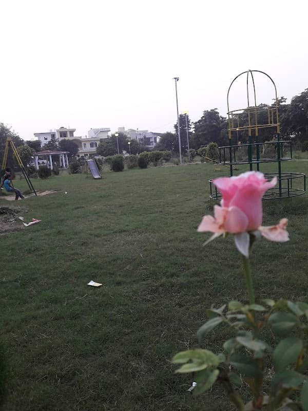 Rose Park - Image 1