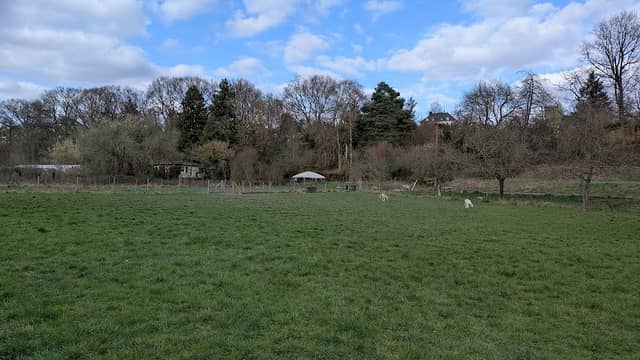 Hundewiese - Image 1