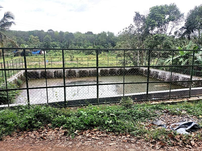 Koyppalli kulam കൊയ്പ്പള്ളി കുളം - Image 1