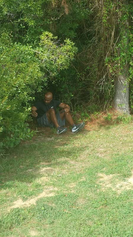 Thompson Road Park - Image 2