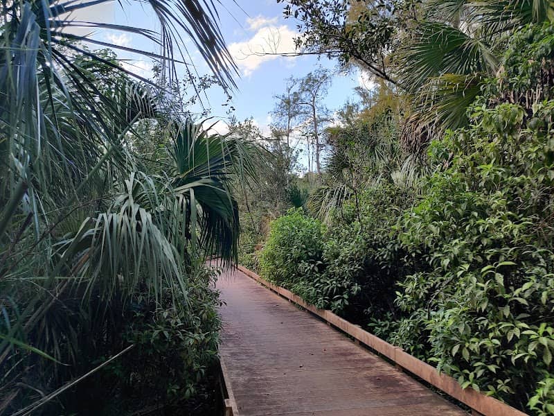Helene Klein Pineland Preserve - Image 3