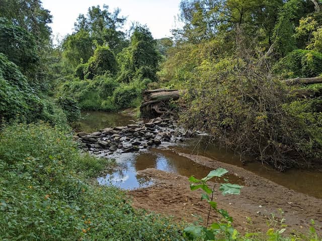 Azalea Park - Image 2