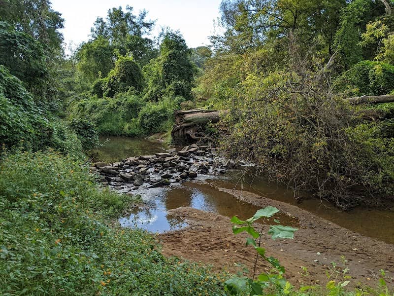 Azalea Park - Image 2