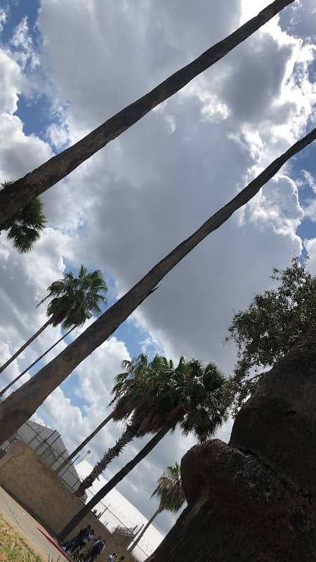 Garden of Memory - Xeriscape Park - Image 2