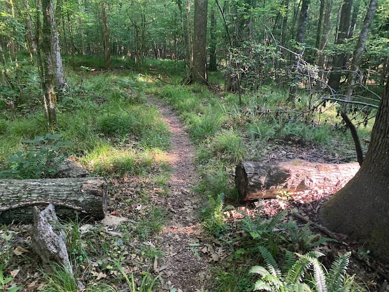 Wannamaker North Trail - Image 1