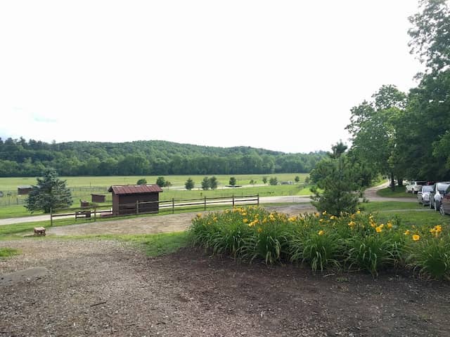 Village Green - Image 1