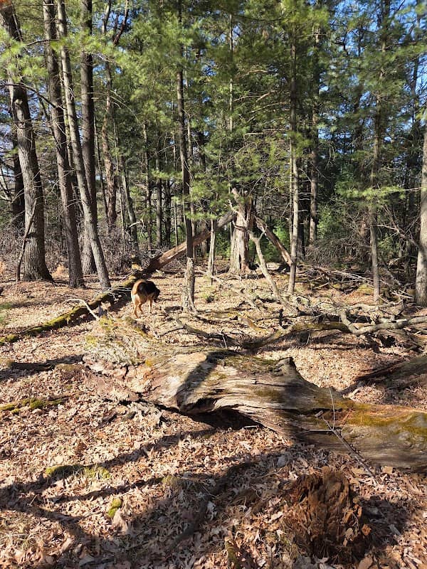 Boot Lake Scientific and Natural Area - Image 1