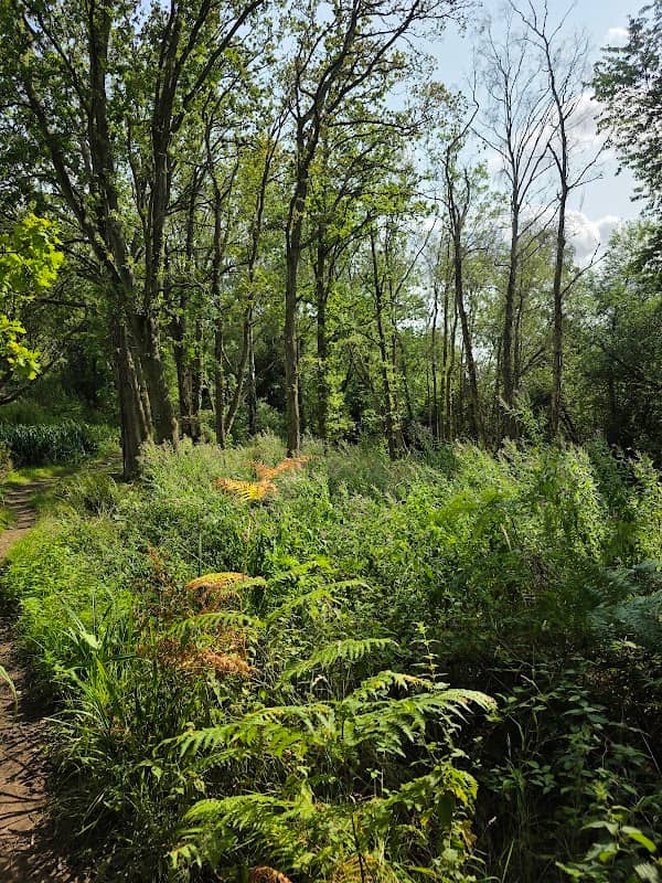 Elizabeth Daryush Memorial Garden - Image 2
