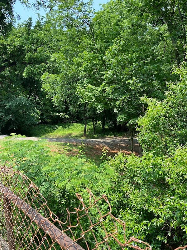 Andrews Natural Area Denso NC Greenway - Image 1