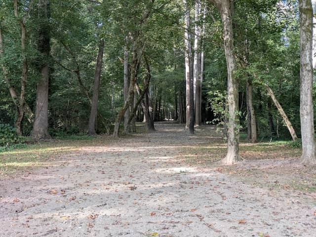 Andrews Natural Area Denso NC Greenway - Image 2