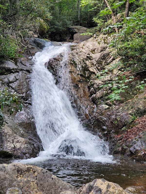 Cabin Creek Trailhead - Image 2