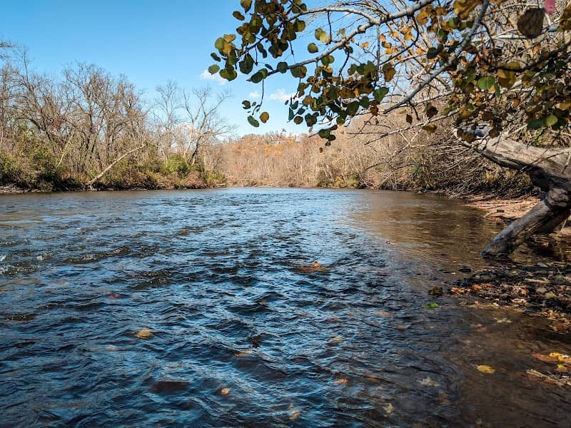 Cannon River Wilderness Area - East Trailhead - Image 1