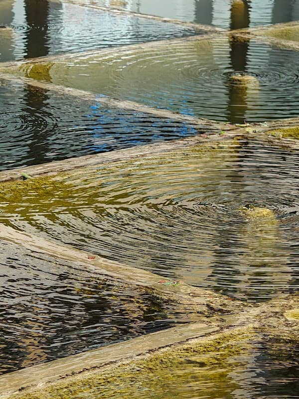 Brunnen bei der Mariensäule - Image 1