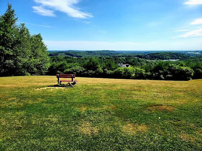 Batchelder Park - Image 2