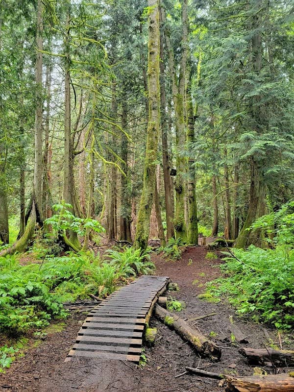 Japanese Gulch Conservation Area - Image 1