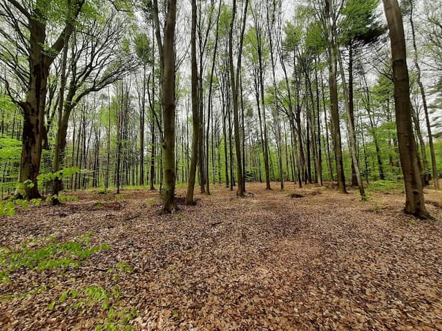 Uroczysko piekiełko - Image 1