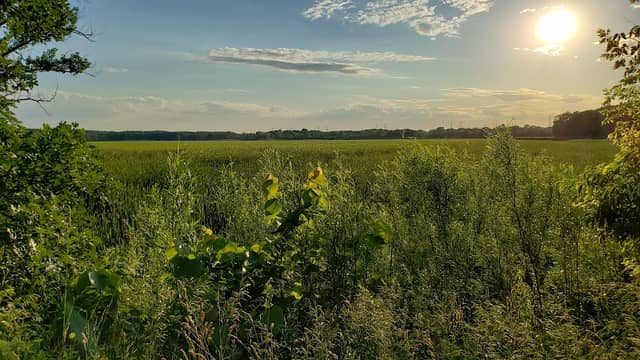 Orland Grove - Image 1