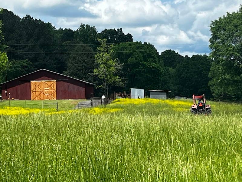 Southern Outdoor Farms - Image 3