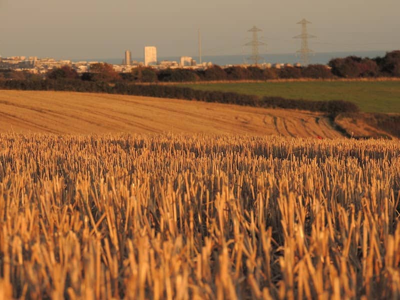 Southwick Hill. - Image 2