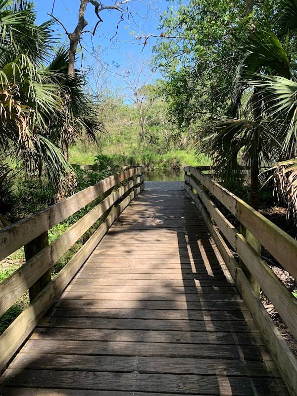 Ansin Tract Conservation Area - Image 2
