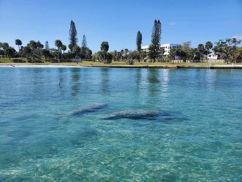 Palm Beach Island Tours - Image 2