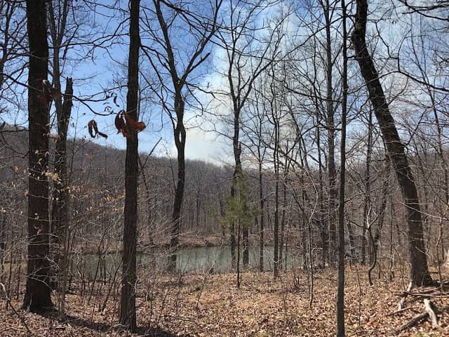 Castor River Conservation Area - Image 1