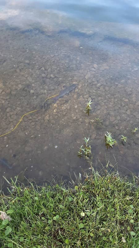 Castlebriar Park - Image 2