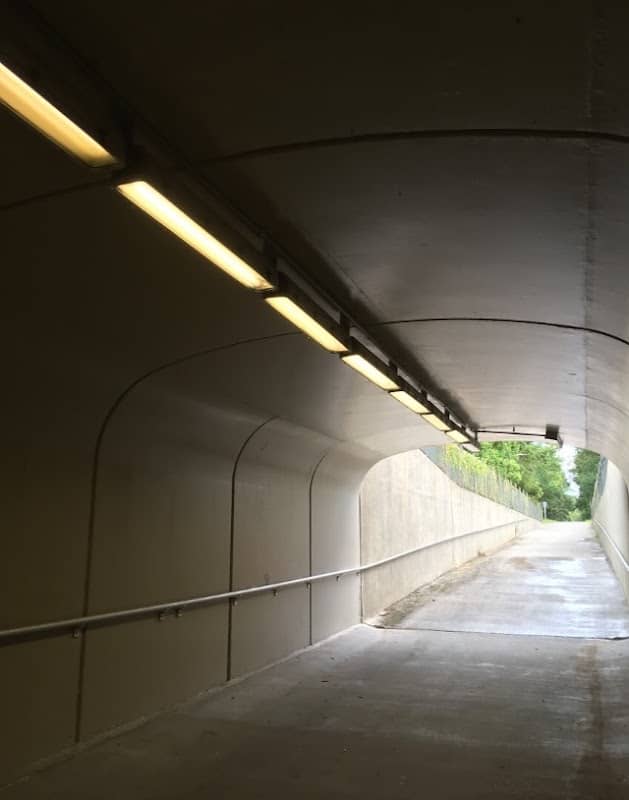 Tammany Trace Tunnel - Image 2