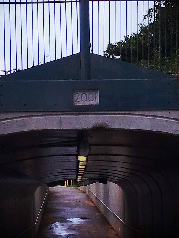 Tammany Trace Tunnel - Image 1
