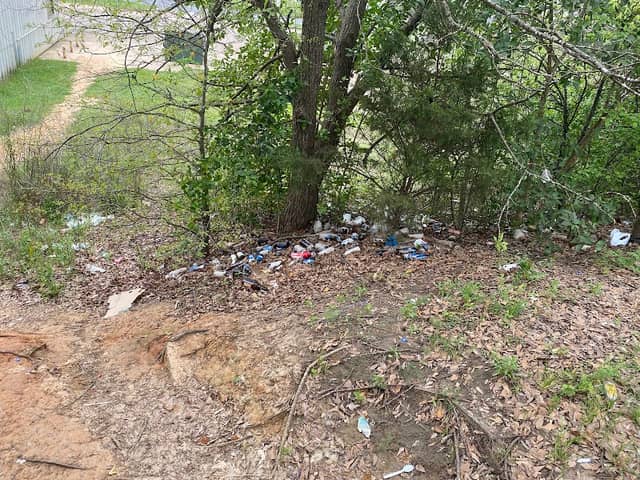 Temple Park - Image 2