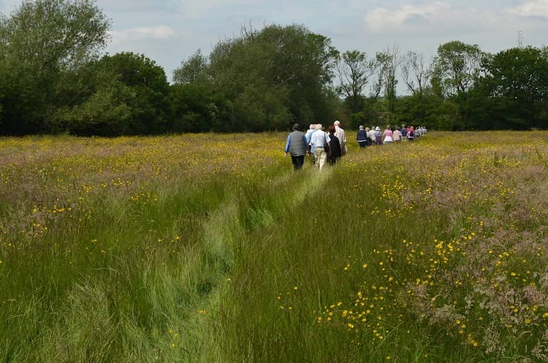 Ratby Meadows - Image 1
