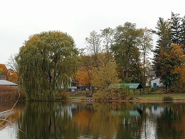 Brick Pond Park - Image 2