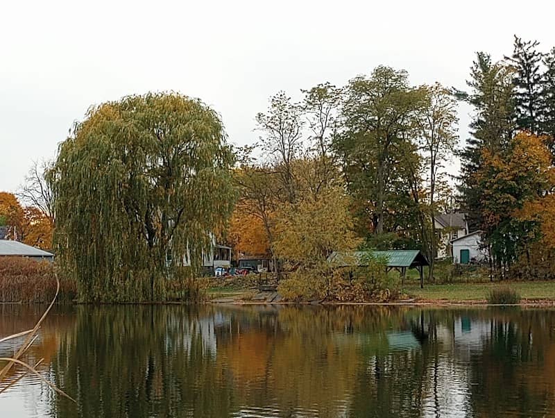 Brick Pond Park - Image 2