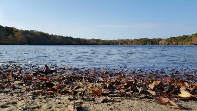 Dickinson Conservation Area - Image 1