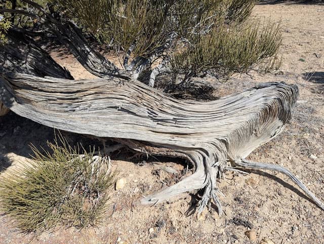 Wyatt's Way Trailhead - Image 2